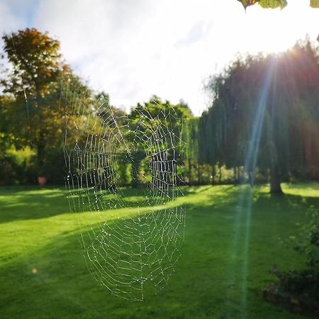 Gite Du Chateau D'Hardelot A Condette Екстериор снимка