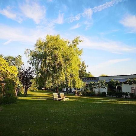 Gite Du Chateau D'Hardelot A Condette Екстериор снимка